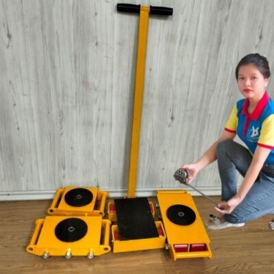 Hình ảnh rùa tải hàng và nhân viên Hưng Việt